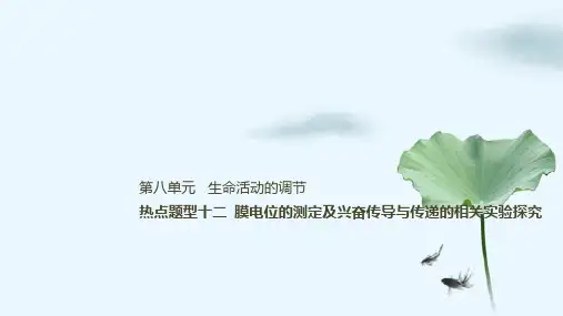 高考生物一轮复习：热点题型十二 膜电位的测定及兴奋传导与传递的相关实验探究优质课件