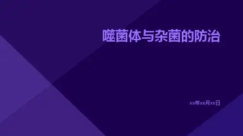 噬菌体与杂菌的防治