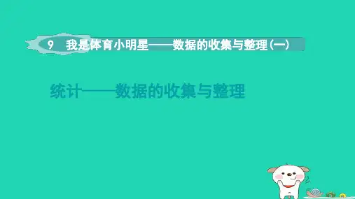 2024二年级数学下册九我是体育小明星__数据的收集与整理一统计__数据的收集与整理课件青岛版六三制