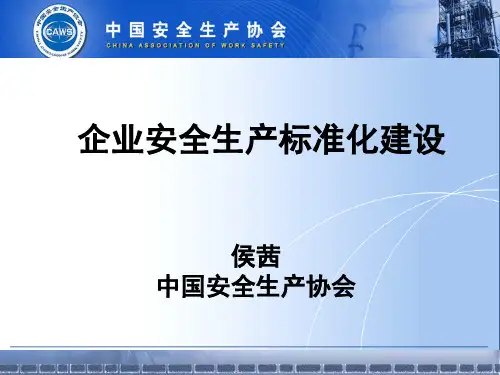 工贸安全生产标准化实施指南(beijing).pptx