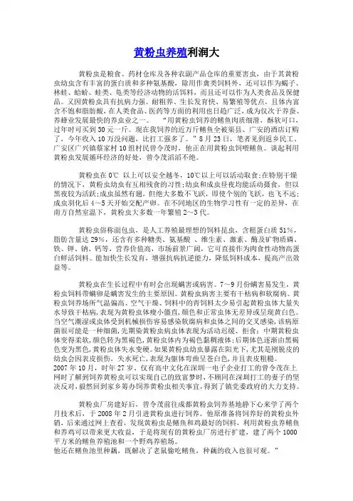 黄粉虫简介
