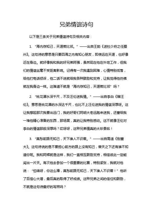 兄弟情谊诗句