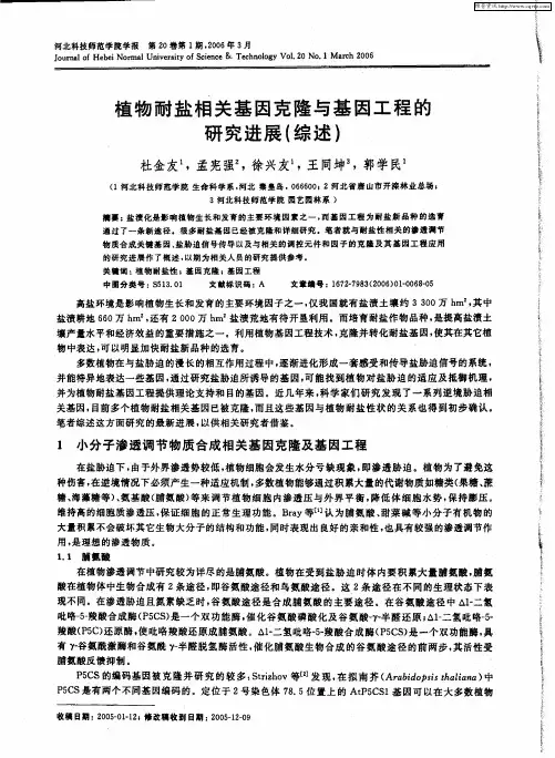 植物耐盐相关基因克隆与基因工程的研究进展(综述)