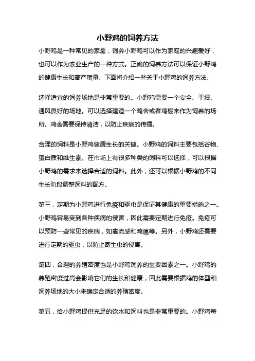 小野鸡的饲养方法