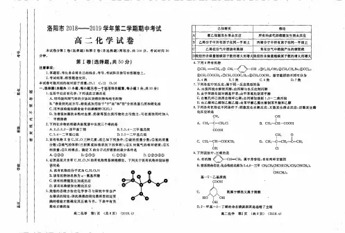 2018-2019学年河南省洛阳市高二下学期期中考试化学试题(PDF版)