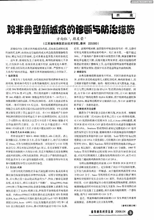 鸡非典型新城疫的诊断与防治措施