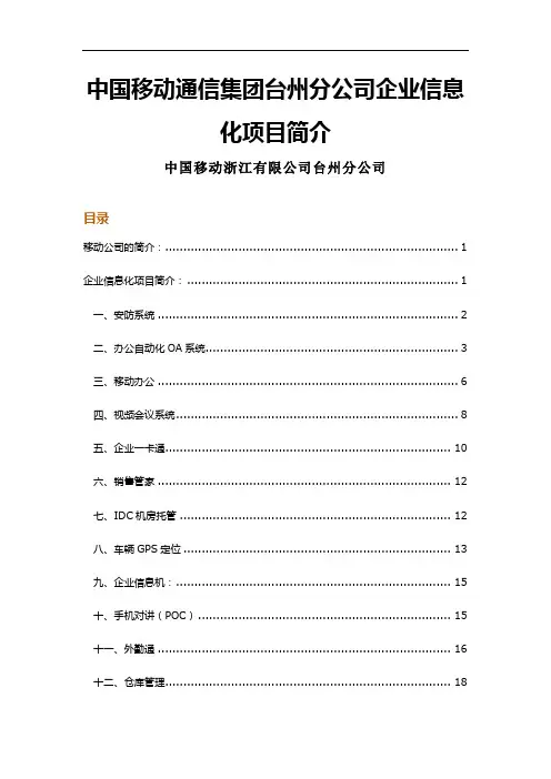 企业信息化项目介绍
