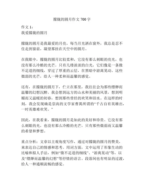 朦胧的圆月作文700字