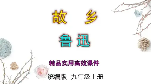2023-2024 部编版初中语文 九年级上册 第15课《故乡》+课件
