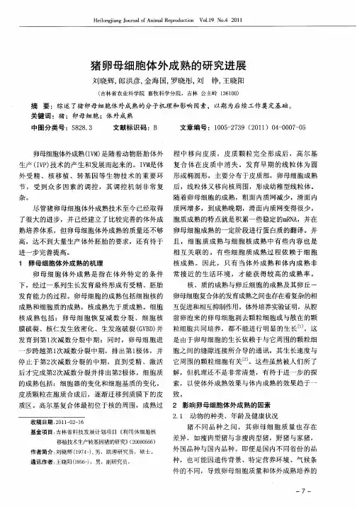 猪卵母细胞体外成熟的研究进展