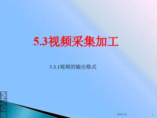 5.3.1视频文件的存储格式