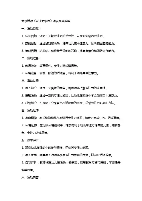 大班活动《专注力培养》语言社会教案