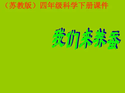 苏教版四年级科学下册课件我们来养蚕全-27页PPT精选文档