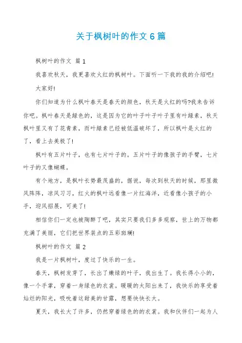 关于枫树叶的作文6篇