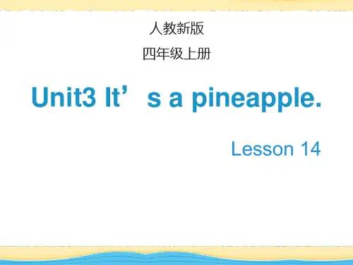 四年级上册英语课件-Unit 3 It’s a pineapple  Lesson 14_人教(精通