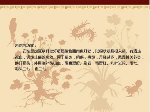 岩陀的功效与作用