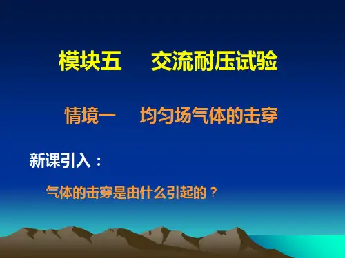 气体的击穿优秀PPT资料