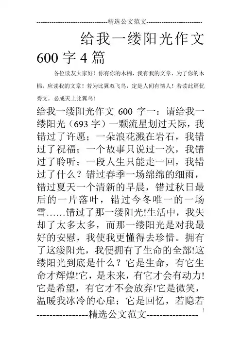 给我一缕阳光作文600字4篇