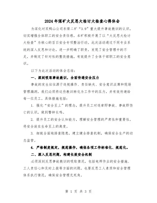 2024年煤矿大反思大检讨大检查心得体会（二篇）