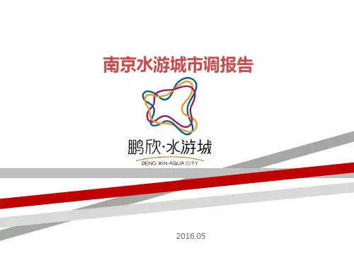 201605南京鹏欣水游城项目市场调研报告48页
