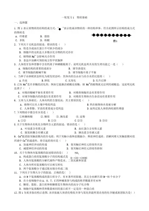 上海市2021-2022学年高二生物等级考(沪科版)一轮复习：1物质基础
