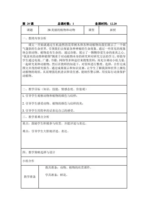 一年级美术上册《美丽的植物和动物》教案