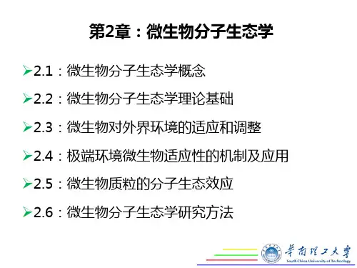 微生物分子生态学