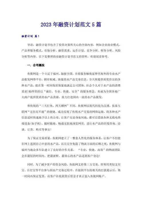 2023年融资计划范文5篇