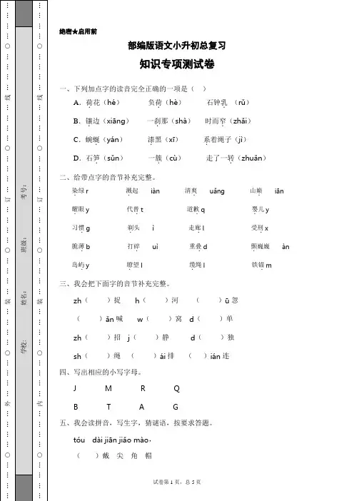 部编版语文小升初总复习基础知识专项测试卷(含答案)