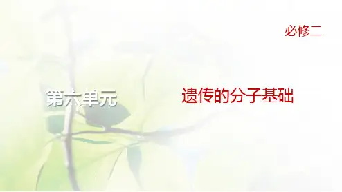 人教版2024届高考生物一轮复习基因的表达教学课件