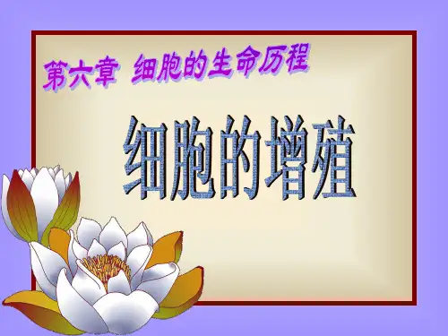 细胞的增殖精品PPT课件