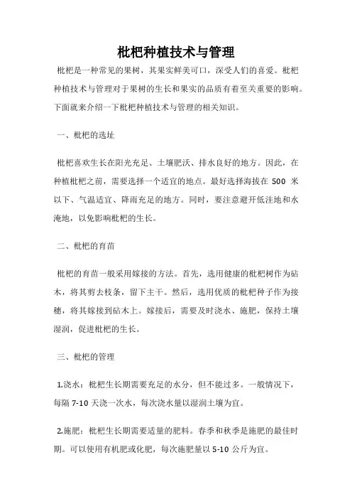 枇杷种植技术与管理