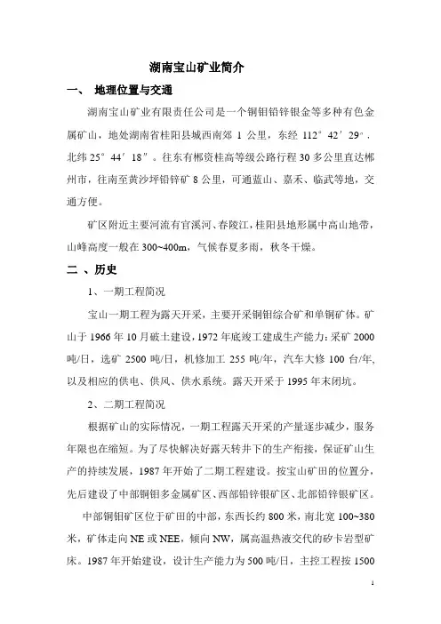 宝山矿业现状简介