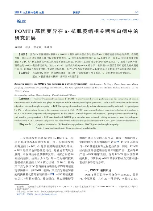 POMT1_基因变异在α-_抗肌萎缩相关糖蛋白病中的研究进展