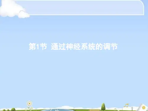 人教版高中生物必修三第2章第1节 通过神经系统的调节  课件(共114张PPT)