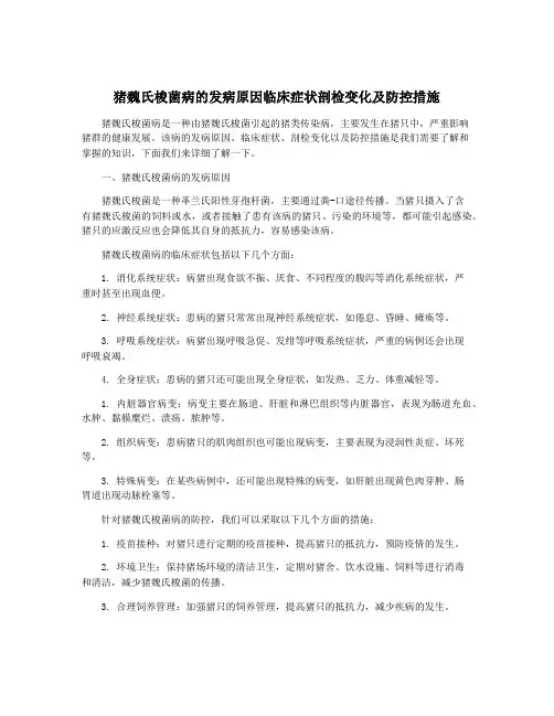 猪魏氏梭菌病的发病原因临床症状剖检变化及防控措施