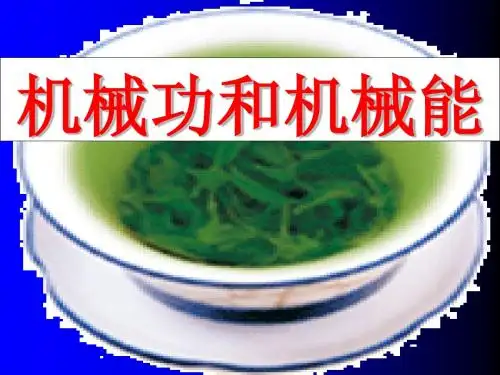九年级物理机械功与机械能