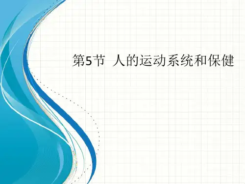 第5节人的运动系统和保健PPT课件(初中科学)