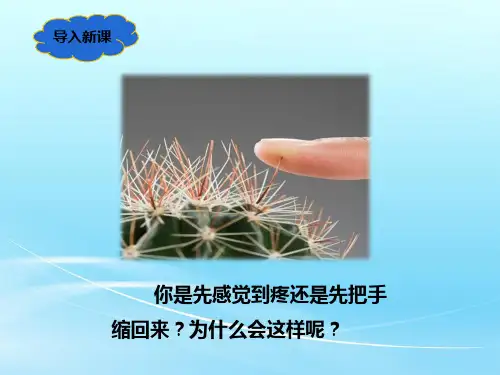 人教版七年级生物 下册 第四单元 6.3 神经调节的基本方式 课件(共45张PPT)