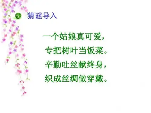 蚕姑娘-汤芳