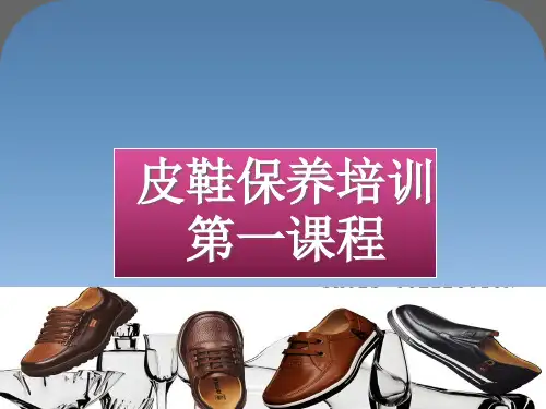 皮鞋培训.pptx