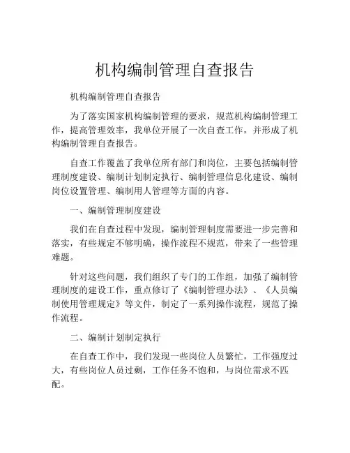 机构编制管理自查报告