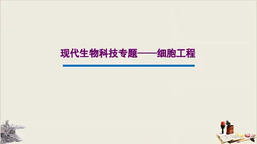 江苏生物高考复习现代生物科技专题_细胞工程ppt