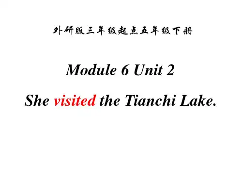 外研版三起五年级英语下册Module 6 Unit 2 课件
