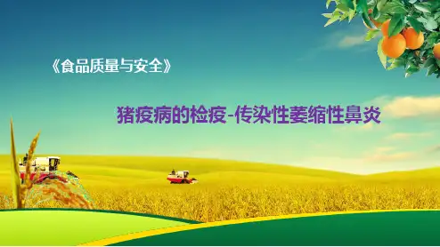 猪疫病的检疫-传染性萎缩性鼻炎