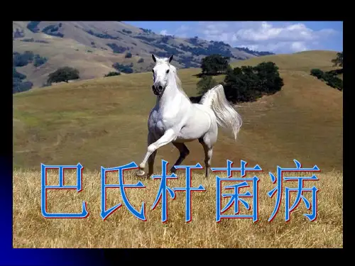 巴氏杆菌病