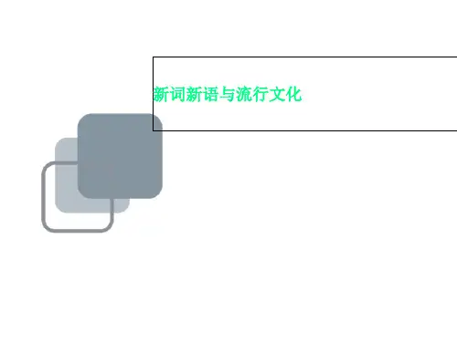 新词新语与流行文化