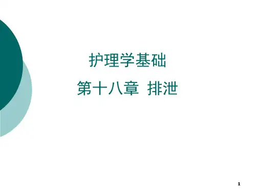 第十七章 排泄的护理 ppt课件
