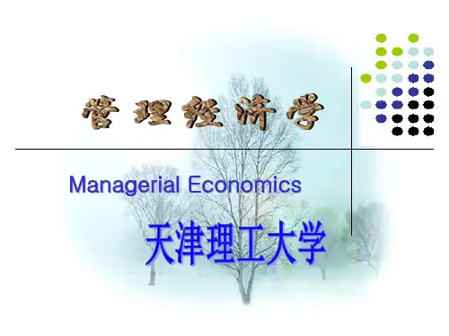 管理经济学第五章