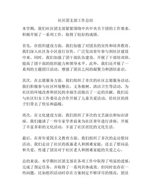 社区团支部工作总结